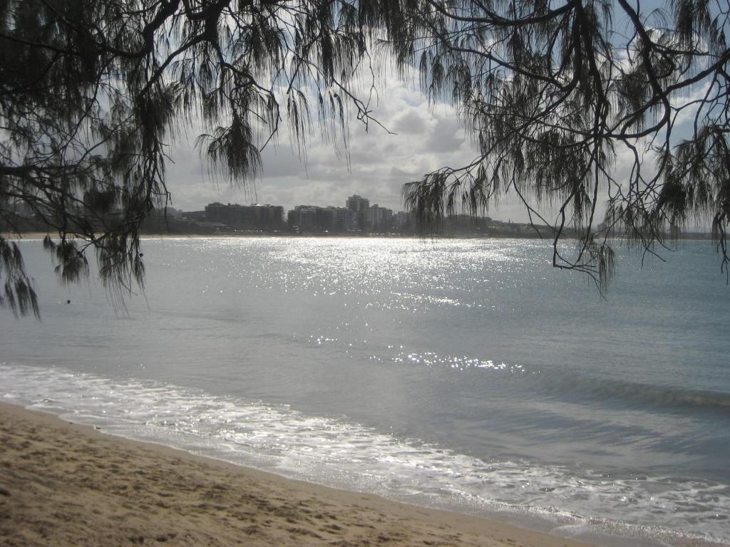 Dockside Apartments Mooloolaba Exteriör bild